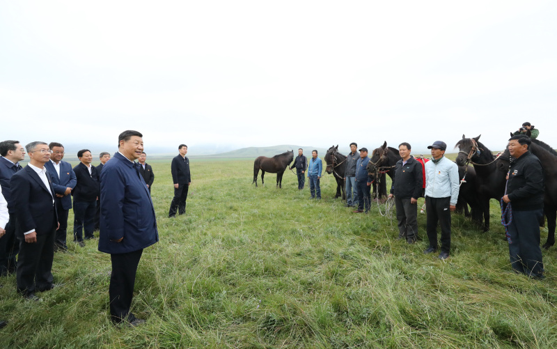 习近平考察山丹培黎学校和山丹马场_行业动态_兽药、饲料、养殖行业治理软件----兽药王软件